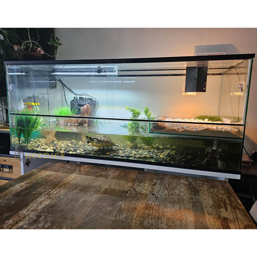 Waterschildpadden terrarium met eiland