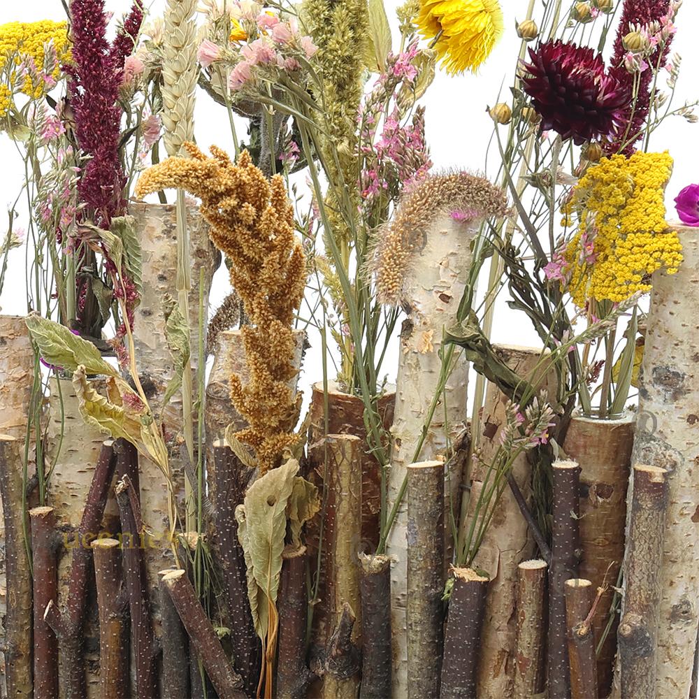 Oogsthouder voor droogbloemen hamster