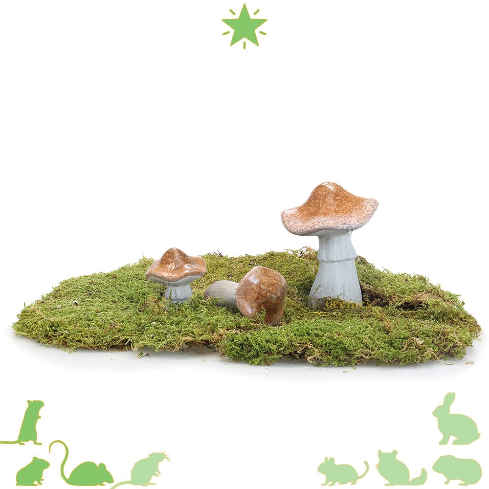 Herst scape met paddenstoelen maken