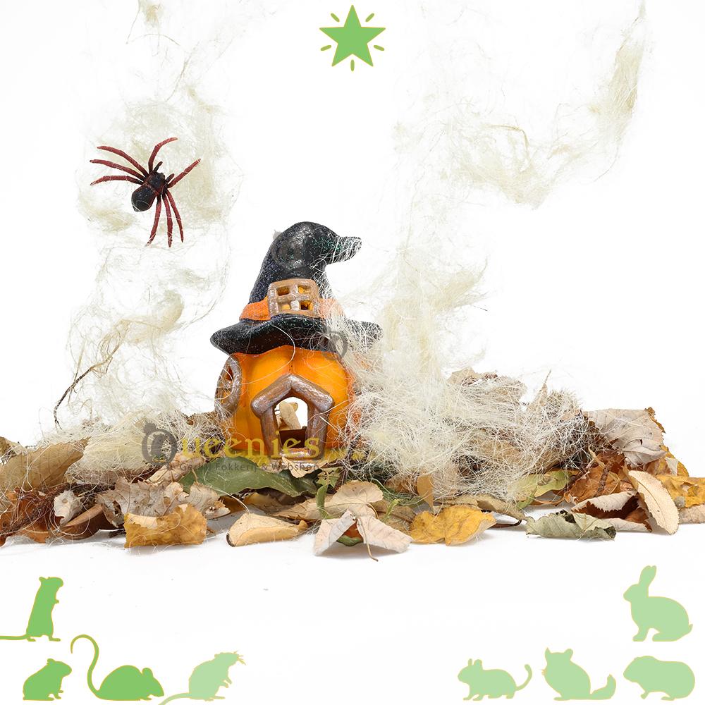 Halloween hamsterhuisje 18 cm