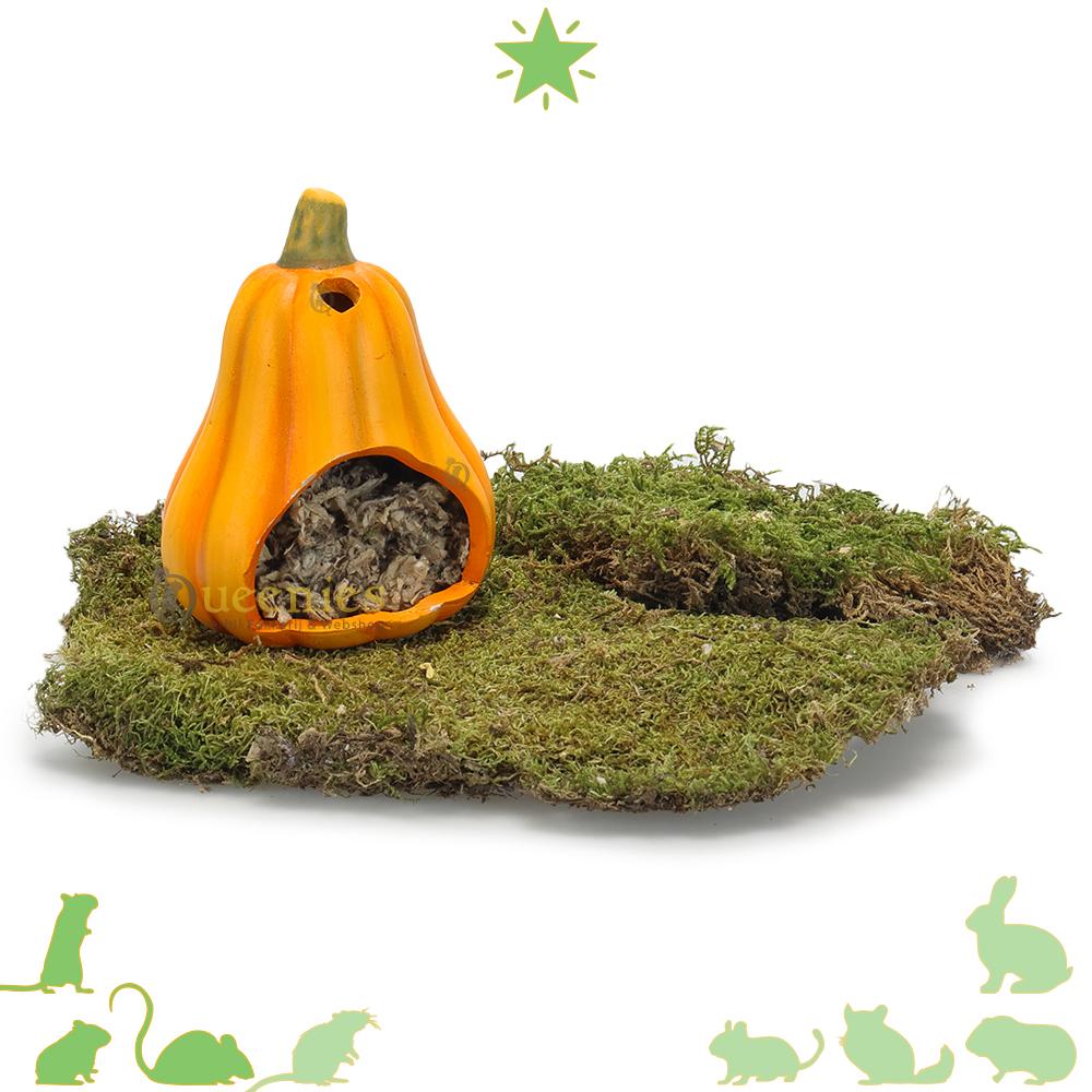 Halloween hamsterscape thema maken met pompoenen