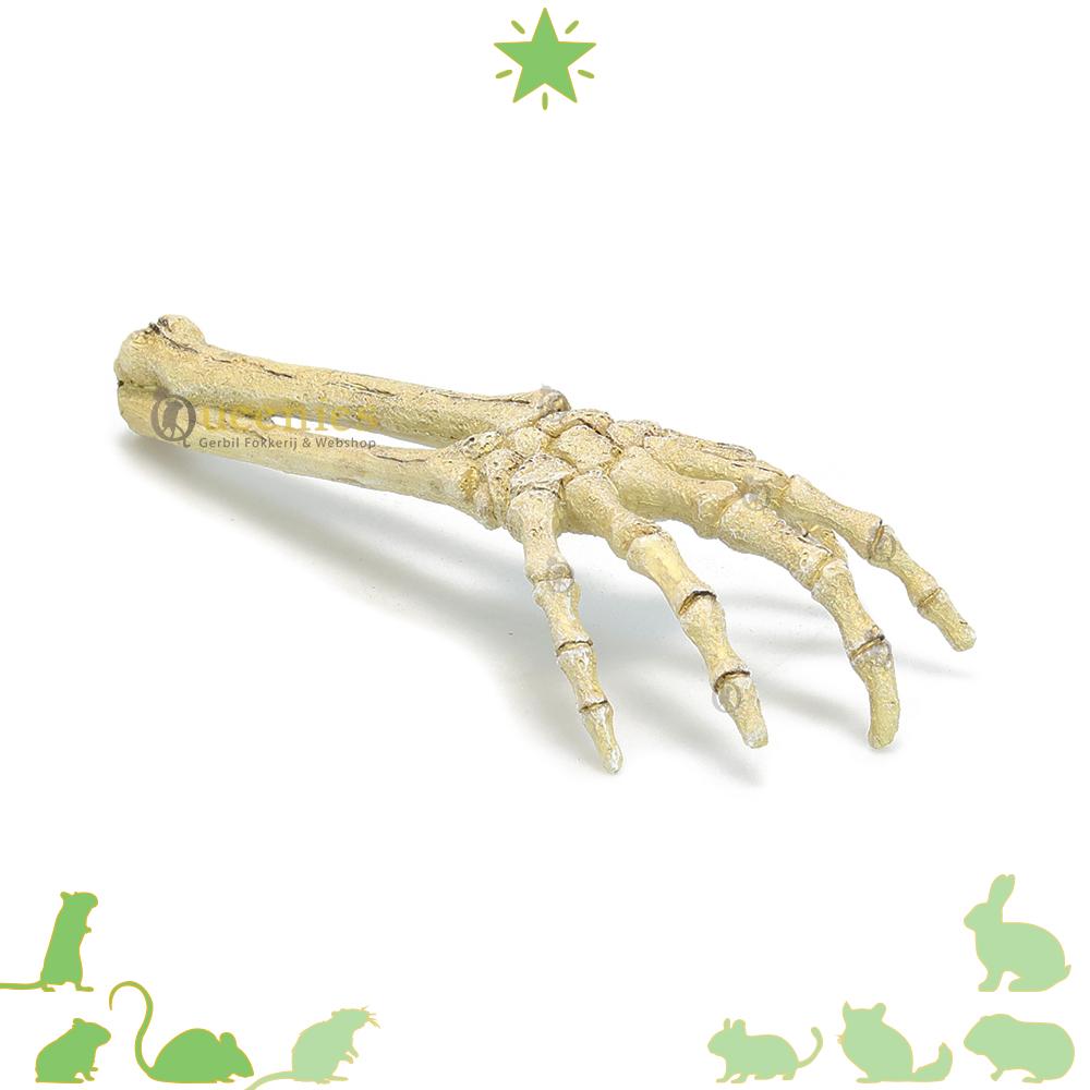 Skelet hand 26 cm – Mysterieuze hamsterscape decoratie