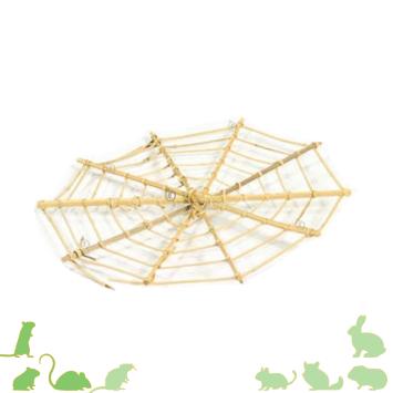 Spinnenrag voor hamsterscaping