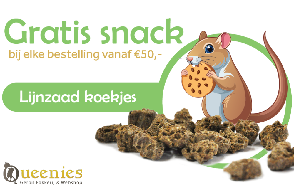 Gratis lijnzaad koekjes