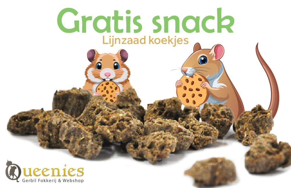 Lijnzaad koekjes voor Knaagdieren