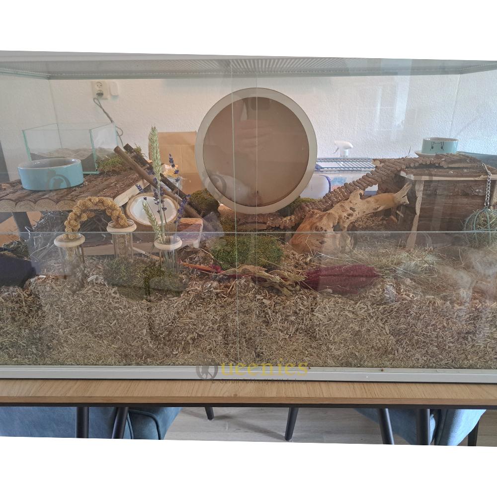 Ingericht Hamster Terrarium met witte profielen