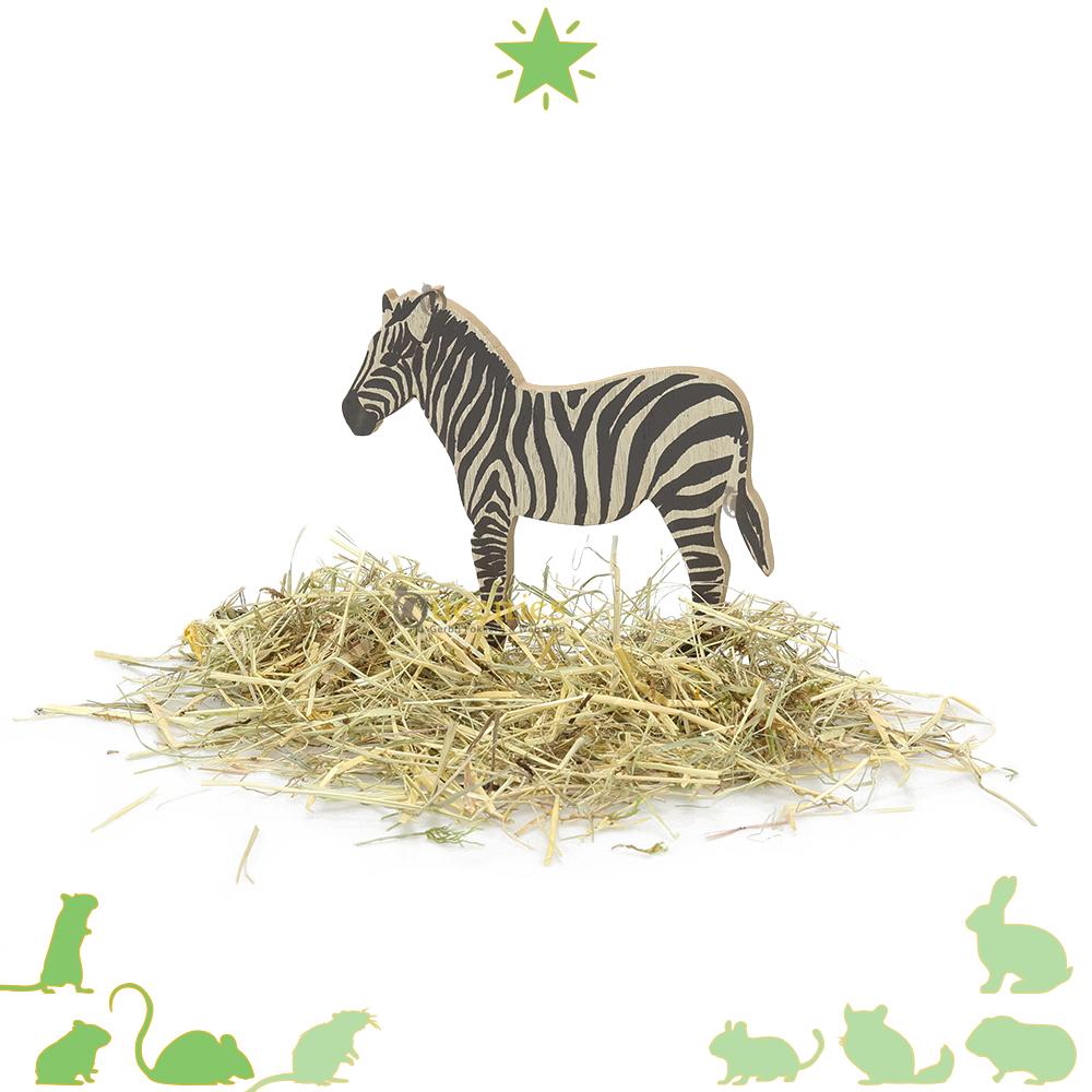 Zebra decoratie - Jungle Hamsterscape