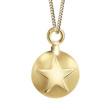 images/productimages/small/ashanger-plat-rond-ster-goud.jpg