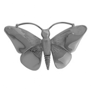 Ashanger vlinder zilver