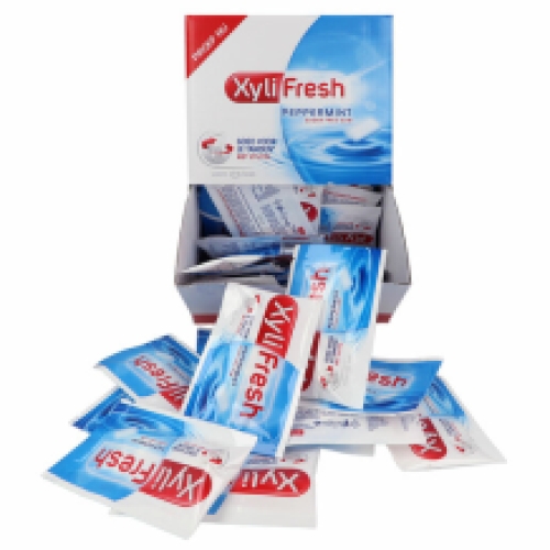 Xylifresh peppermint refill 90 x 2 Stk.