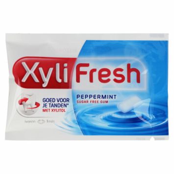 Xylifresh peppermint refill 90 x 2 Stk.