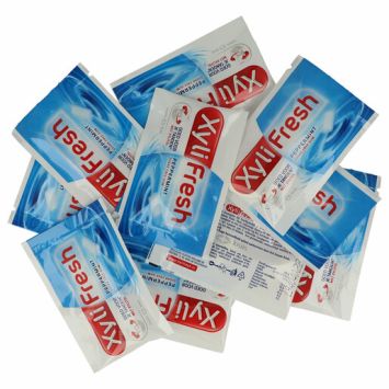 Xylifresh peppermint refill 90 x 2 Stk.