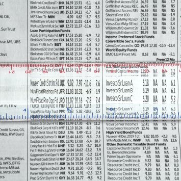 Carson MagniRule 1,5x Lupe mit 30cm transparente Lineal