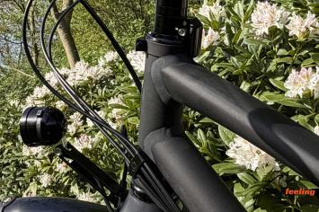 wachtberg-all-rohler-lady-rohloff-idworx-stuurdoorslagbeveiliger-isr