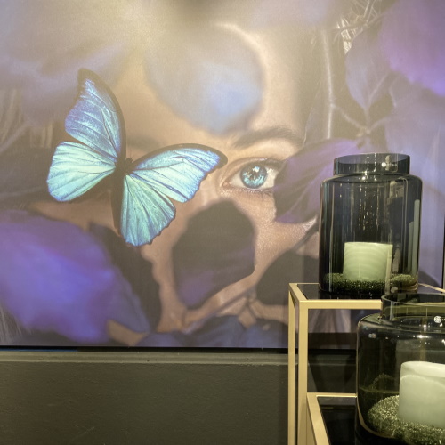 Walldecoration Tableaux Blue Butterfly Matt Aluminum