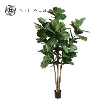 Tree Fiddle Leaf Silk Green