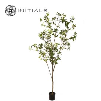 Tree Japonica Silk Green