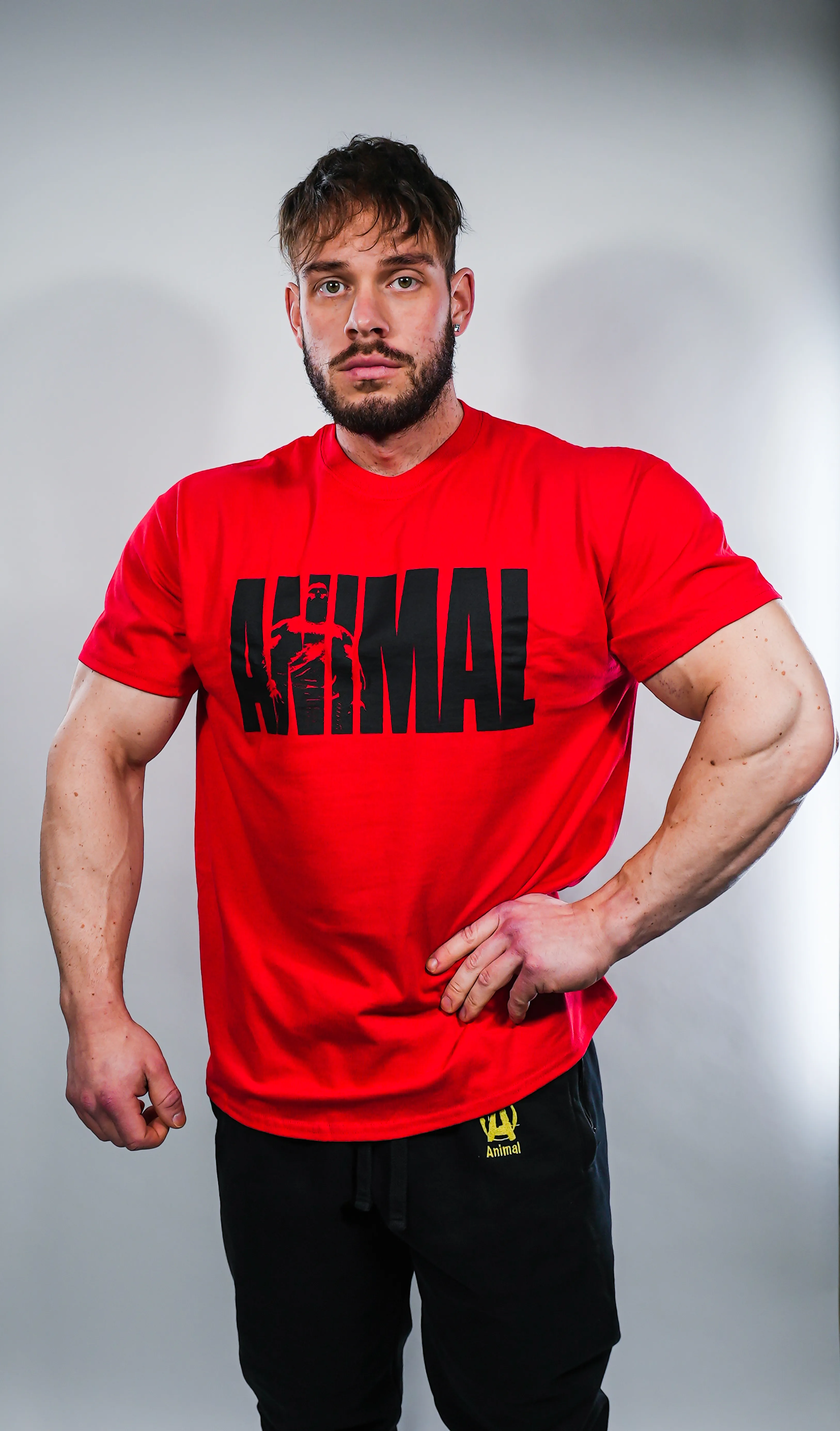 Animal Iconic T-Shirt - Red | Universal Nutrition Europe