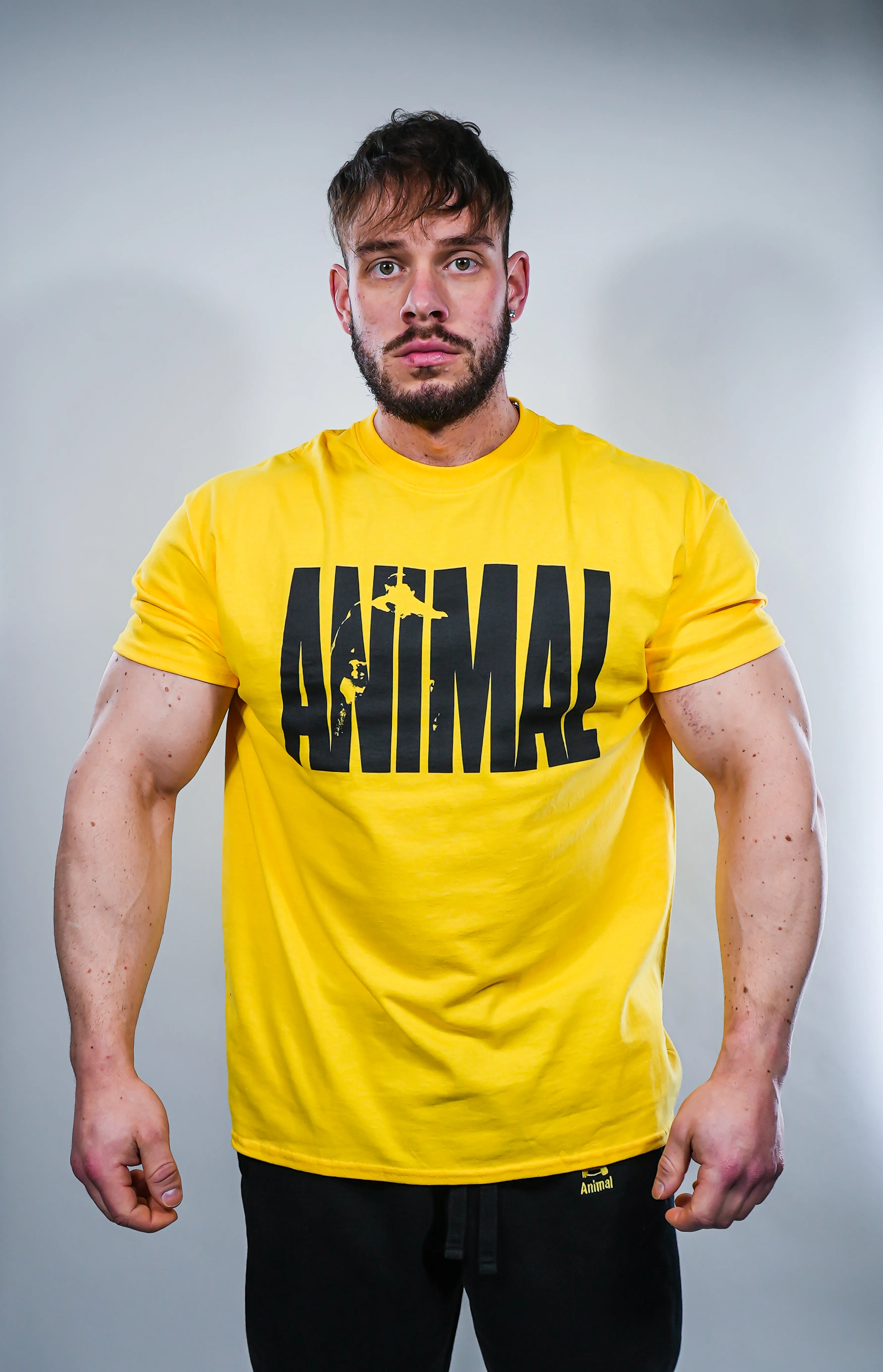 Animal T-Shirt - Yellow | Universal Nutrition Europe