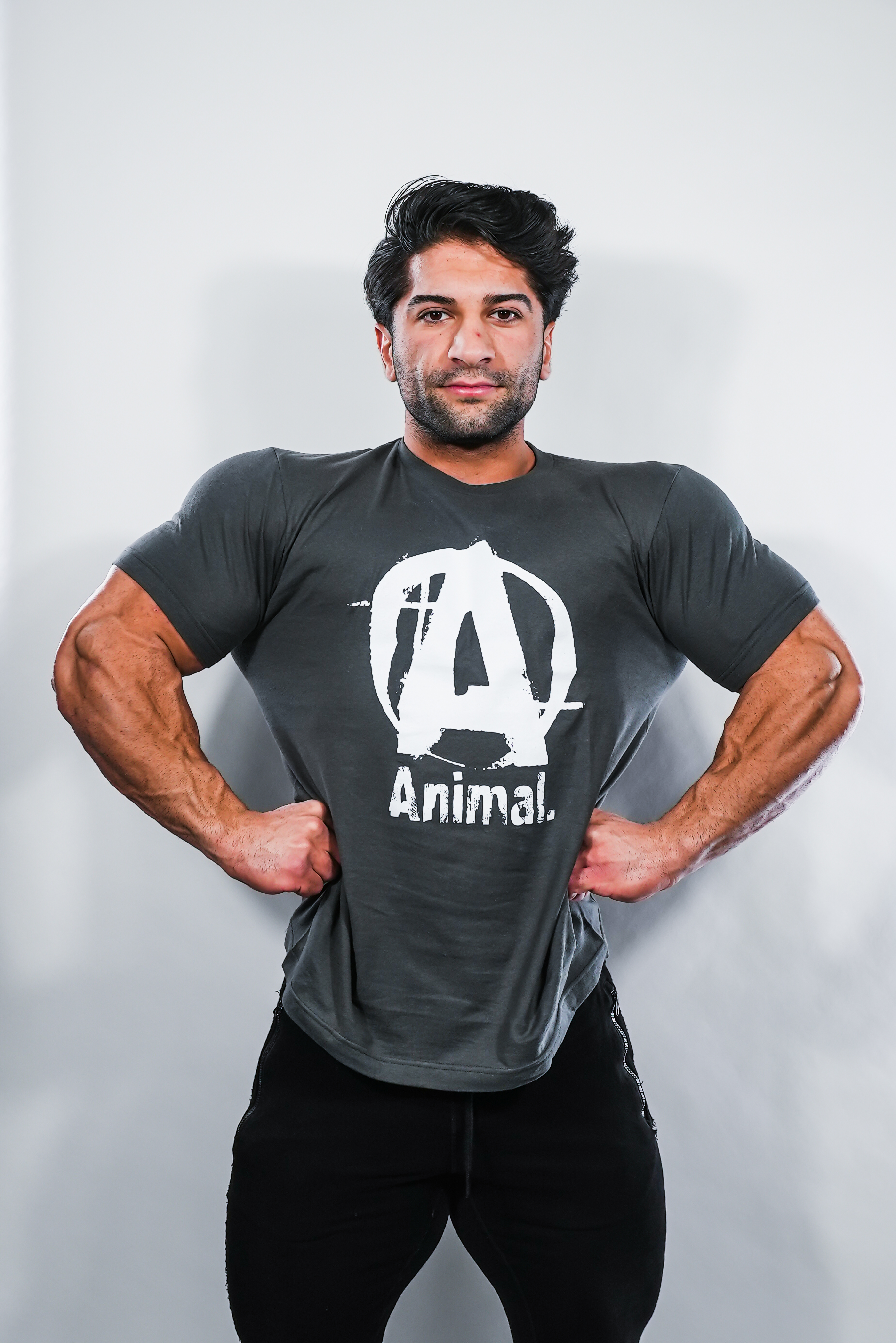 Animal A Logo - Dark Grey