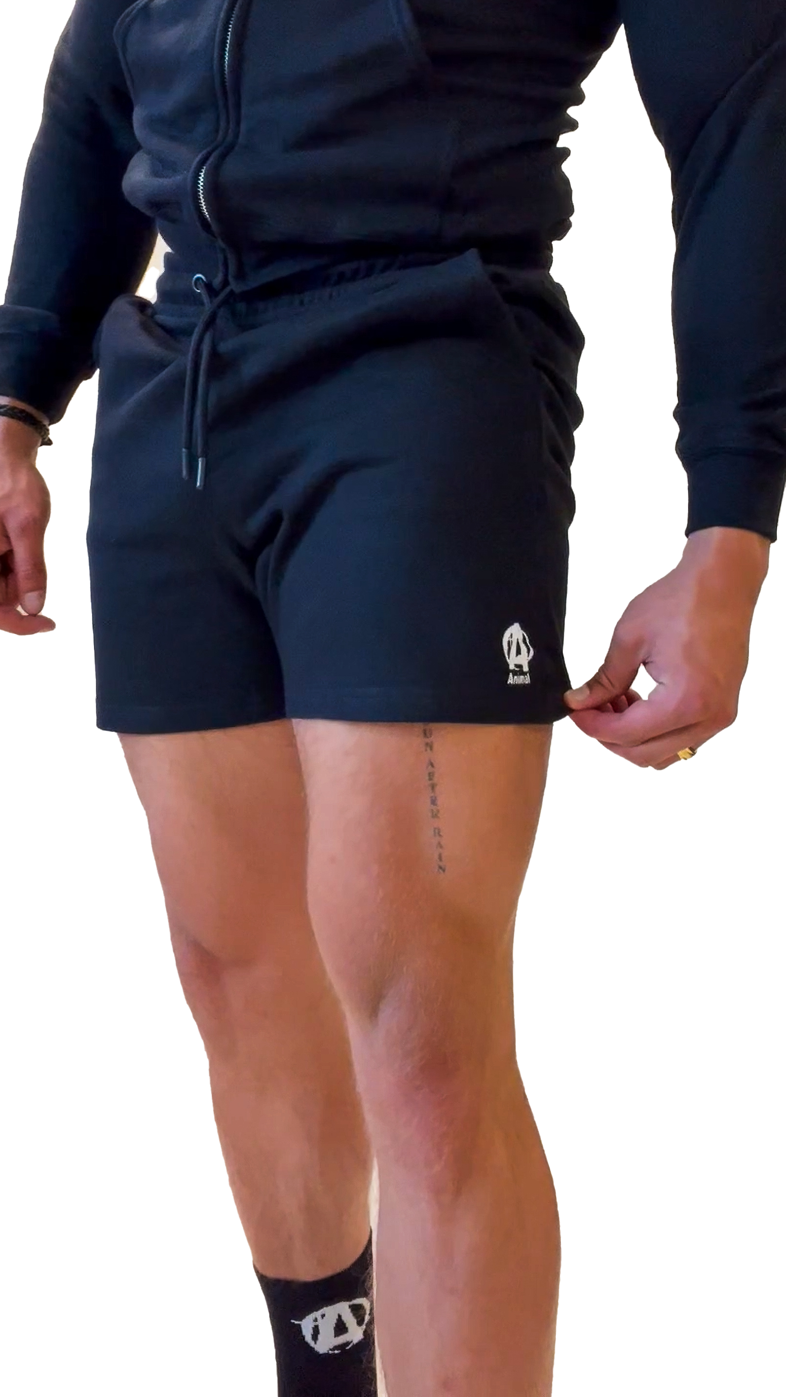 Animal Sweat Shorts