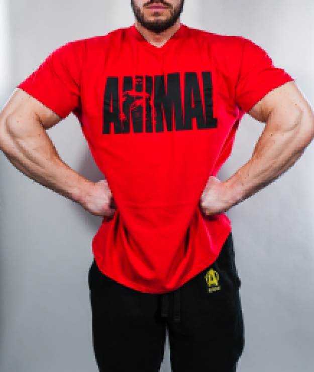 Animal Iconic T-Shirt Red