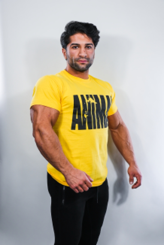 Animal Iconic T-Shirt Yellow
