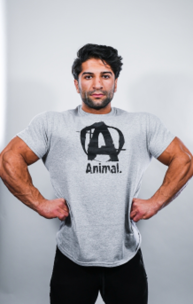 ANIMAL 