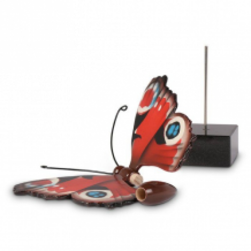 Dagpauwoog vlinder urn detail