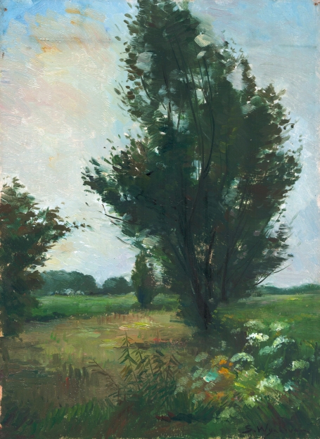 Nederlandse kunstschilder Steef Wijnhoven Nederlandse kunstschilder Steef Wijnhoven