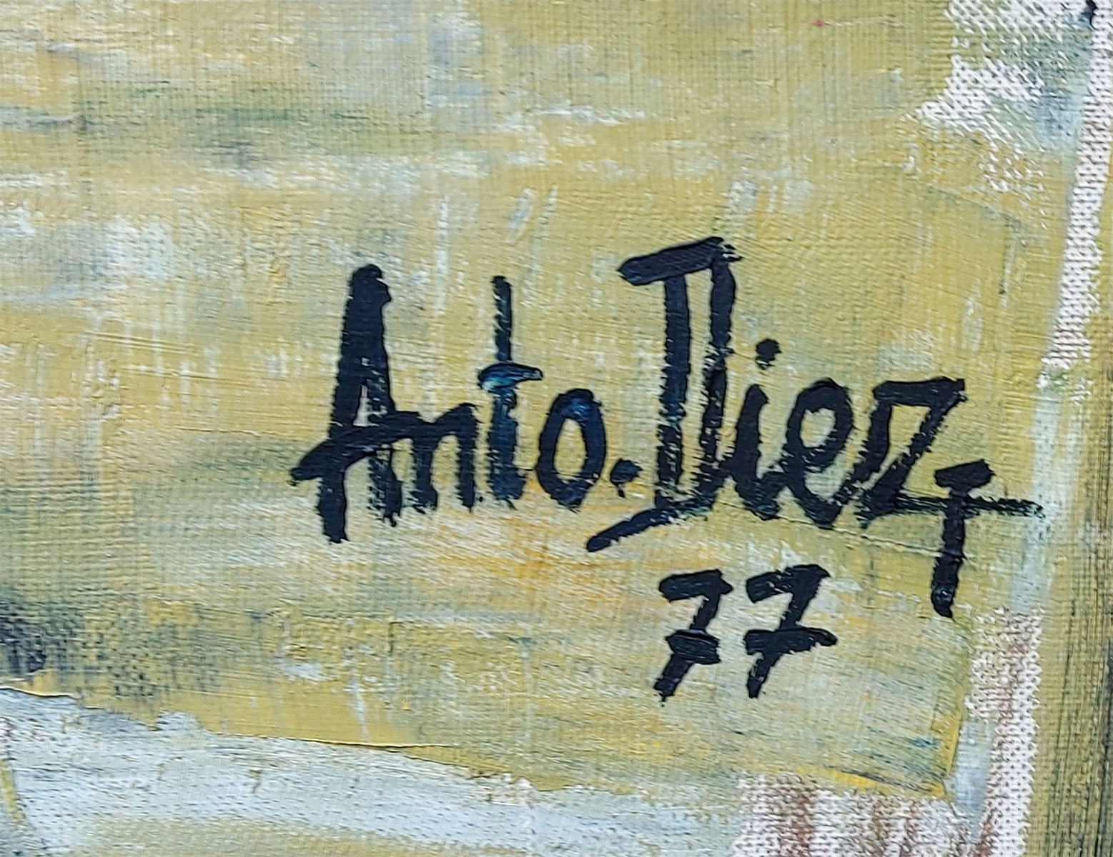 De Belgische kunstschilder Anto Diez