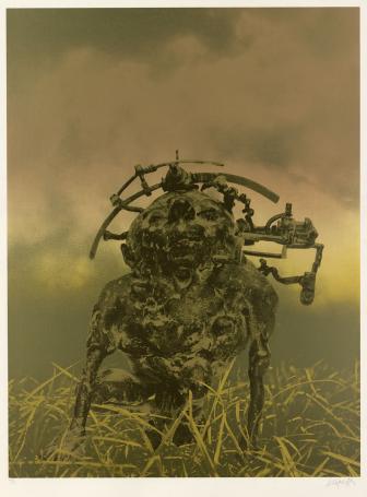 Offset print van Wilfried Pas kopen