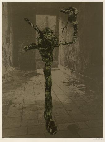 Offset print van Wilfried Pas kopen