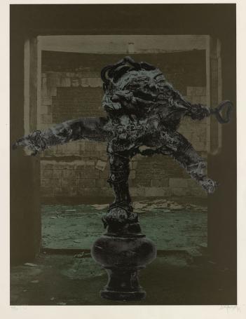 Offset print van Wilfried Pas kopen