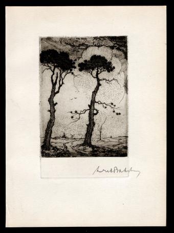 Gesigneerde ets van Dirk Baksteen kopen