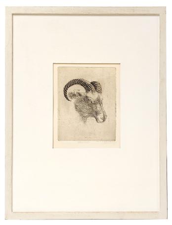 Kleine ets van Jeanine Behaeghel kopen