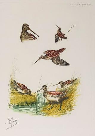 Grafisch kunstwerk van Boris Riab in een kader