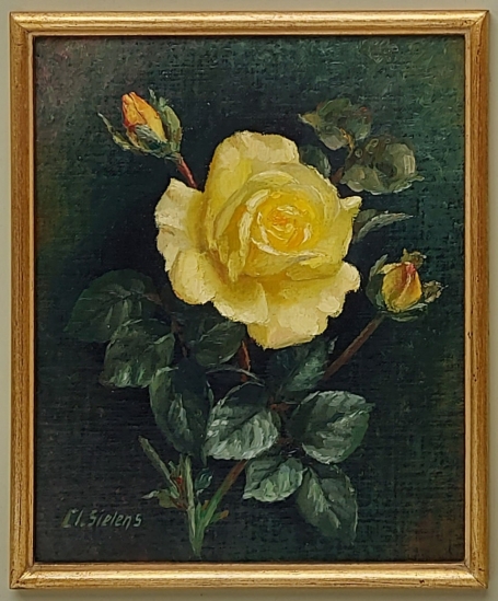 Clément SIELENS, de gele roos