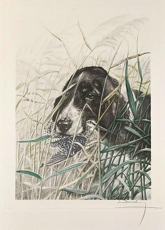 Léon Danchin met een ets van zwart-witte spaniël met watersnip