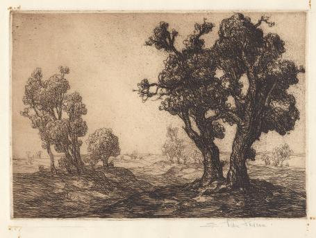 Belgische etser Edmond Van Dooren