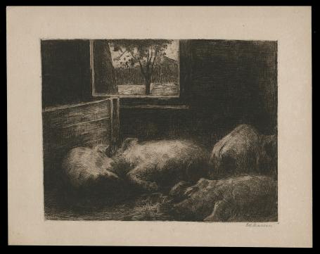Ets varkens van de Nederlandse kunstenaar  Eduard Karsen