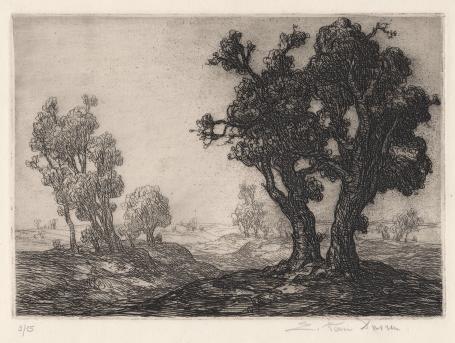 Belgische graficus Edmond Van Dooren met een grafisch kunstwerk