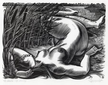 Belgische graficus Gerard Gaudean, de Schelde