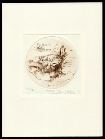 Droge naald ets van Hermina Horváth kopen