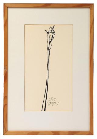 Pentekening van Hugo Heyens kopen