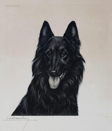 Léon Danchin met een ets van Groenendaeler