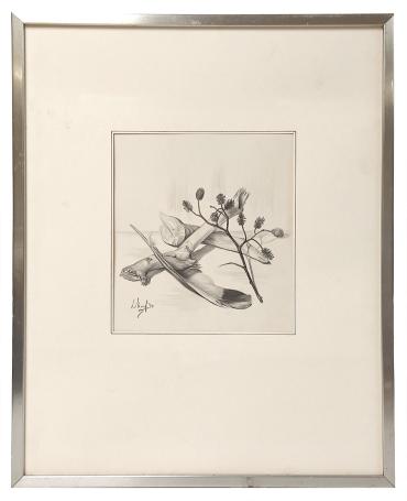 Tekening van Leonardo Torfs aankopen