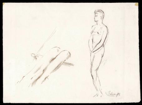 Tekeningen van Lode Sebregts