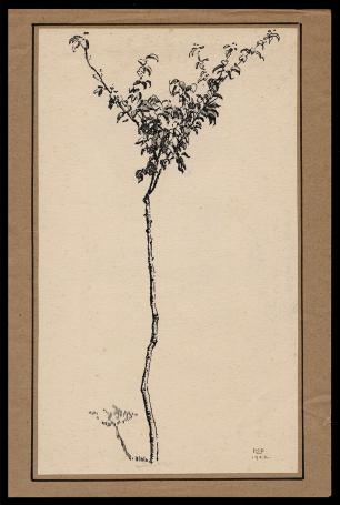 Pentekening van Maurice Pauwaert