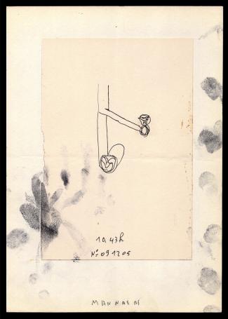 Kunstwerk op papier van de Belgische kunstenaar Werner Mannaers kopen